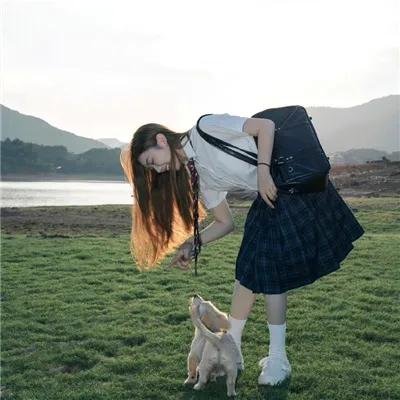 狐狸的夏天2